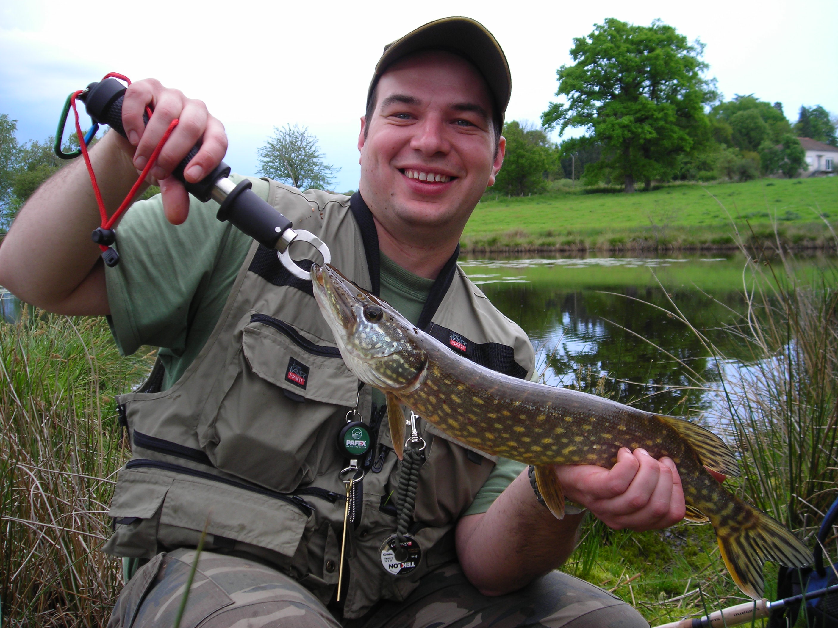 poissons_trophe1.jpg